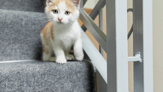 «Теплый дом» фото 9