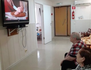 «Синяя птица»